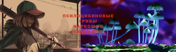 бутират Белокуриха