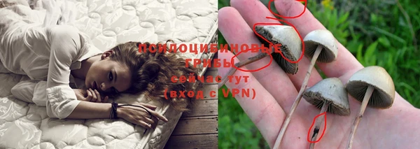 каннабис Беломорск